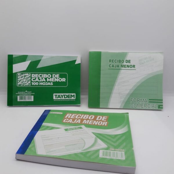 RECIBO DE CAJA MENOR 100 HOJAS PAPPYER