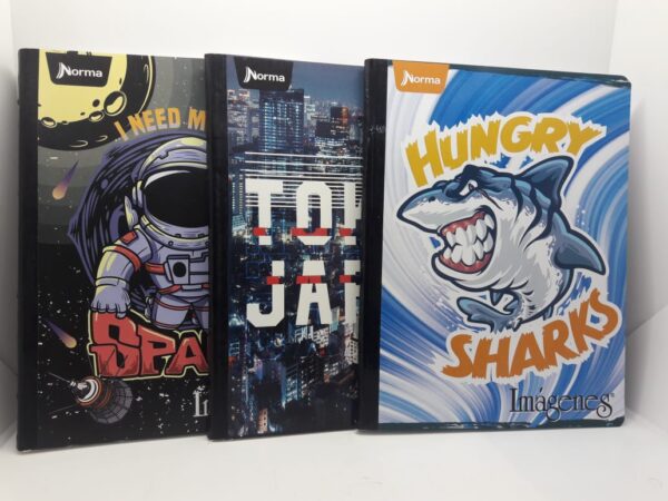CUADERNO DE 100 HOJAS CUADROS GRANDES C/ STICKER