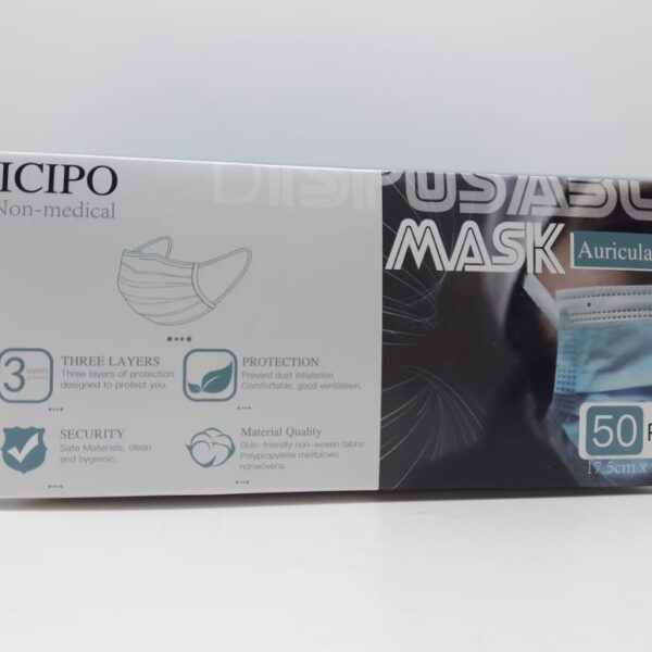 CAJA DE TAPABOCA X50UND