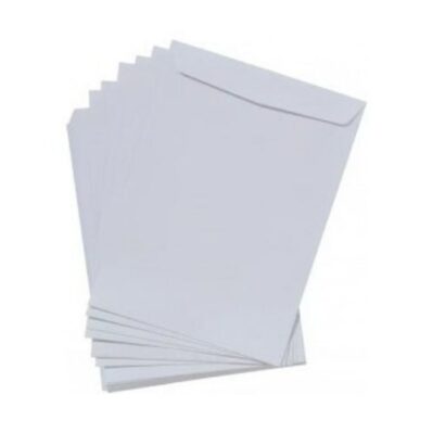 SOBRE DE MANILA BLANCO CARTA X100 NORMA