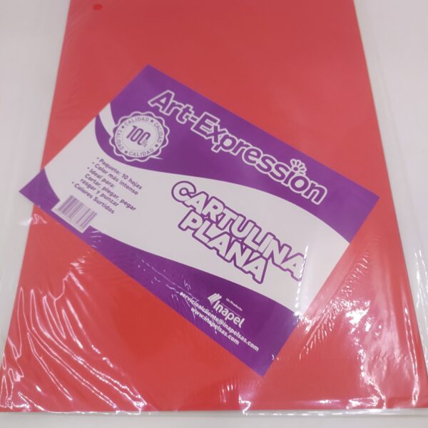 CARTULINA PLANA PAPPYER X 10 UNDS