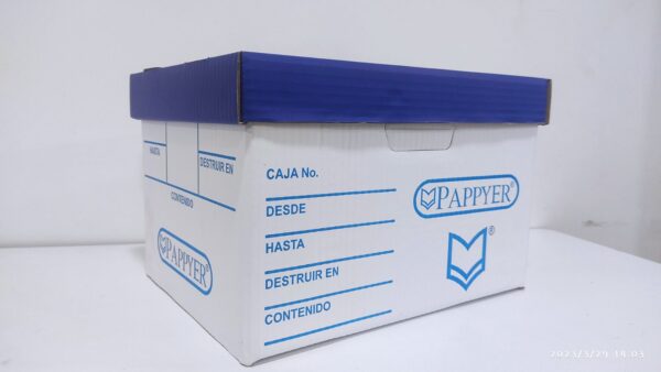 CAJA DE ARCHIVO INACTIVO #20 PAPPYER