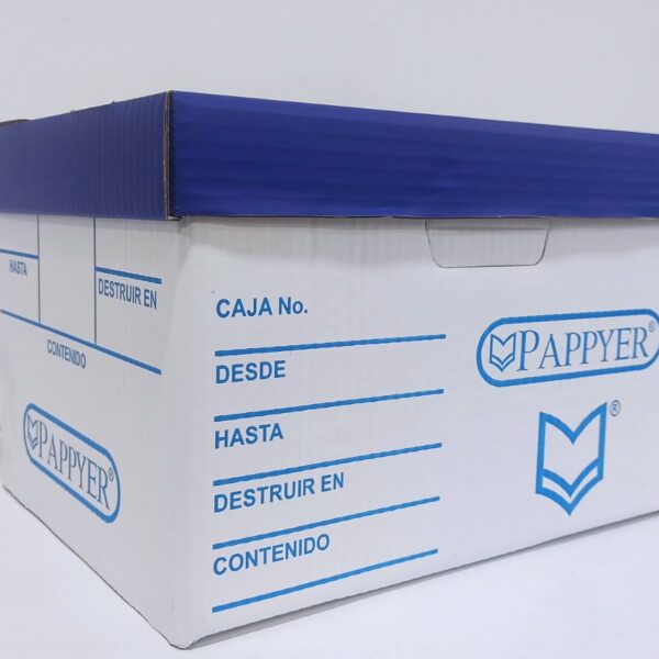 CAJA DE ARCHIVO INACTIVO #20 PAPPYER
