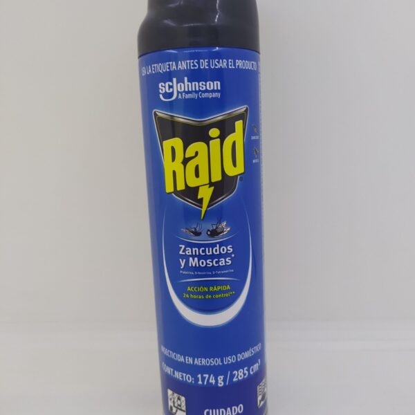 INSECTICIDA RAID AEROSOL 174G