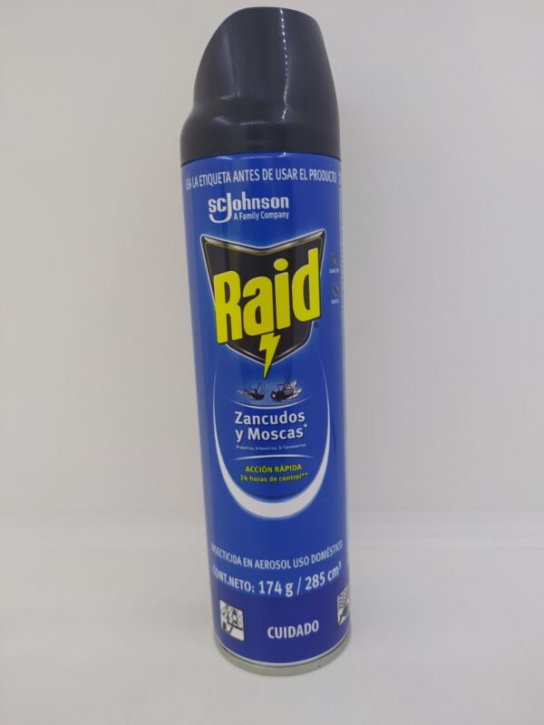 INSECTICIDA RAID AEROSOL 174G