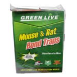 PEGA RATON MOUSE Y RAT GRANDE
