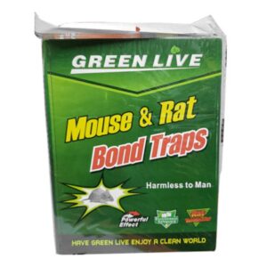 PEGA RATON MOUSE Y RAT GRANDE