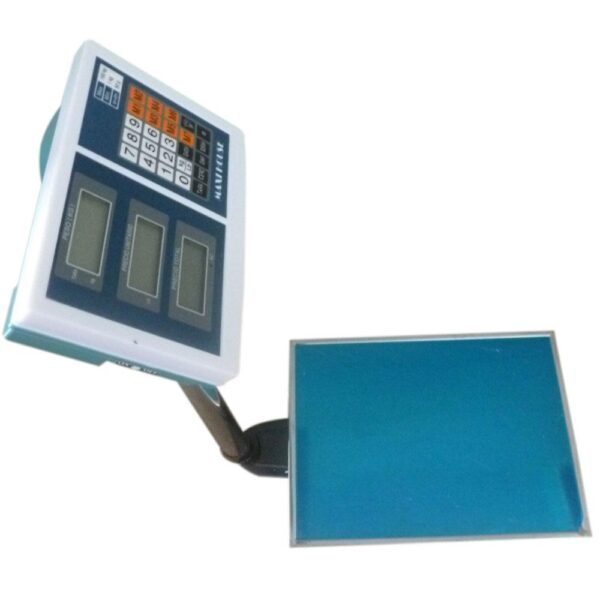 PESA DIGITAL 100 K MAXI HOUSE(NO USAR)