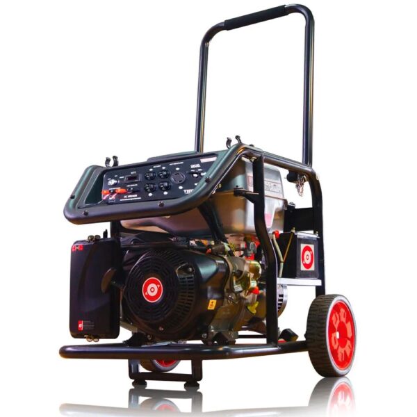 PLANTA GENERADORA DUCSON GASOLINA 8KW (DG701)4T