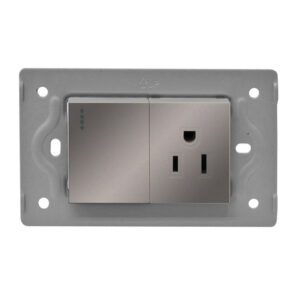 TOMA SWICHE LUXOR GRIS INTERCAMBIABLE SIN TAPA DUKE ENERGY (V3-018)