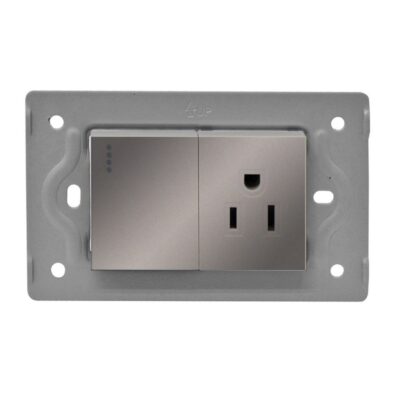 TOMA SWICHE LUXOR GRIS INTERCAMBIABLE SIN TAPA DUKE ENERGY (V3-018)