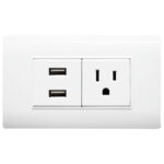LINEA BK PLUS BLANCA INCRUSTAR TOMA SENCILLO + 2 USB (118K-36) (HT20686)