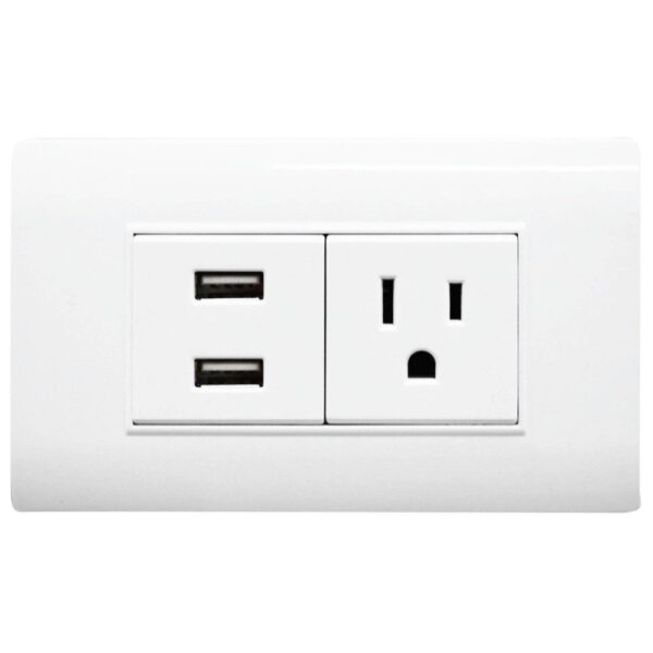 LINEA BK PLUS BLANCA INCRUSTAR TOMA SENCILLO + 2 USB (118K-36) (HT20686)