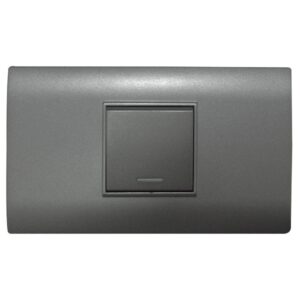 LINEA BK PLUS GRIS INCRUSTAR SWICHE SENCILLO CONMUTABLE 110-220 (118K-01-3W-FMGRY) (HT20704)