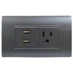 LINEA BK PLUS GRIS INCRUSTAR TOMA SENCILLO + 2 USB (118K-36) (HT20714)