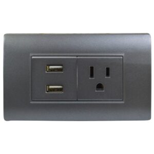 LINEA BK PLUS GRIS INCRUSTAR TOMA SENCILLO + 2 USB (118K-36) (HT20714)