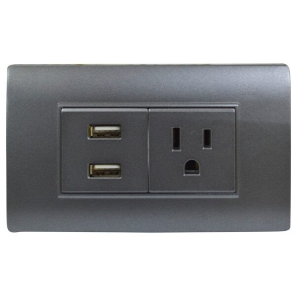 LINEA BK PLUS GRIS INCRUSTAR TOMA SENCILLO + 2 USB (118K-36) (HT20714)