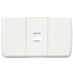 LINEA FUTURA BLANCA INCRUSTAR TOMA LAN INTERNET DUKE ENERGY (V16-035)