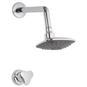 DUCHA REGADERA + REGISTRO TRICETA ALUVIA GRIVAL (AV4063331 )