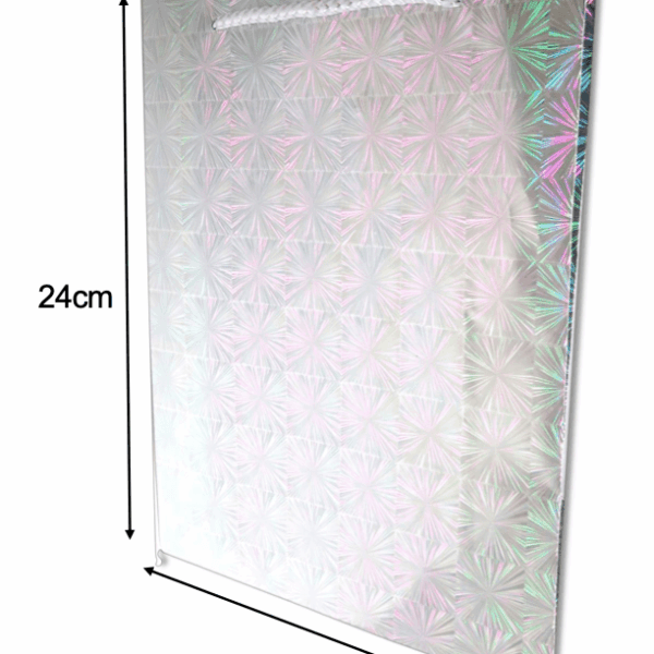 BOLSA REGALO HOLOGRAFICA PEQUENA DIOM(H2322819-94807)