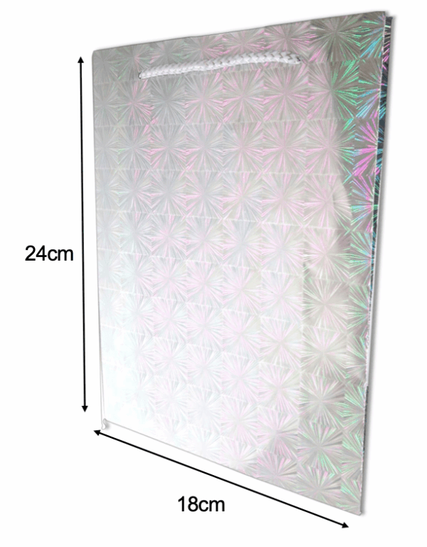 BOLSA REGALO HOLOGRAFICA PEQUENA DIOM(H2322819-94807)