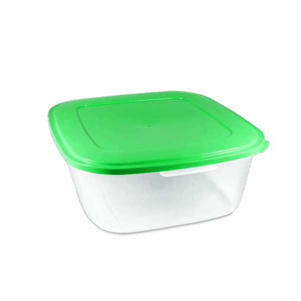 CAJA 4 LITROS CON TAPA KENDY