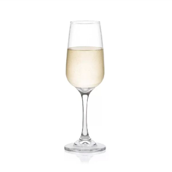 COPA TRENTINO CHAMPANA 5482CL3