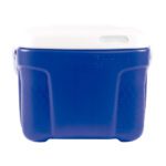 NEVERA 8 LT AZUL COLPLAST