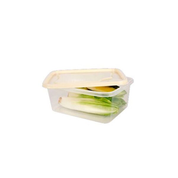 RECIPIENTE RECTANGULAR STAR 2,0 LT NP