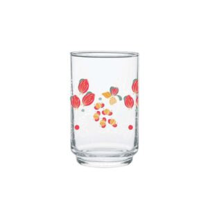 VASO ALEGRO BEBIDAS 2867CD6 CRISTAR