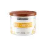 VELA 14.75 OZ ESSENTIAL ELEMENTS VANILLA & SANDALWOOD CANDLE LITE (4472344)