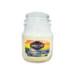 VELA 3 OZ SALTWATER LOTUS CANDLE LITE (4449330)