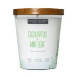 VELA 9 OZ ESSENTIAL ELEMENTS EUCALYPTUS & MINT LEAF CANDLE LITE (4471174)
