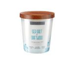 VELA 9 OZ ESSENTIAL ELEMENTS SEA SALT & DRIFTWOOD CANDLE LITE (4471368)