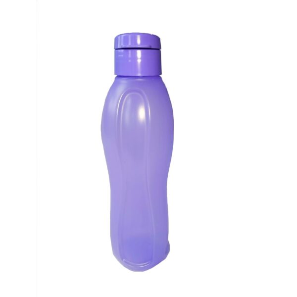 BOTELLA FIT FANTIPLAS