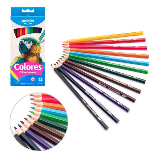 COLORES LARGOS INTENSOS X 12 UD POINTER(BT-HCP-12)