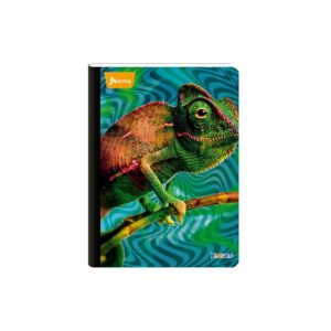 CUADERNO COSIDO X PRE MAS 100H CUA NORMA