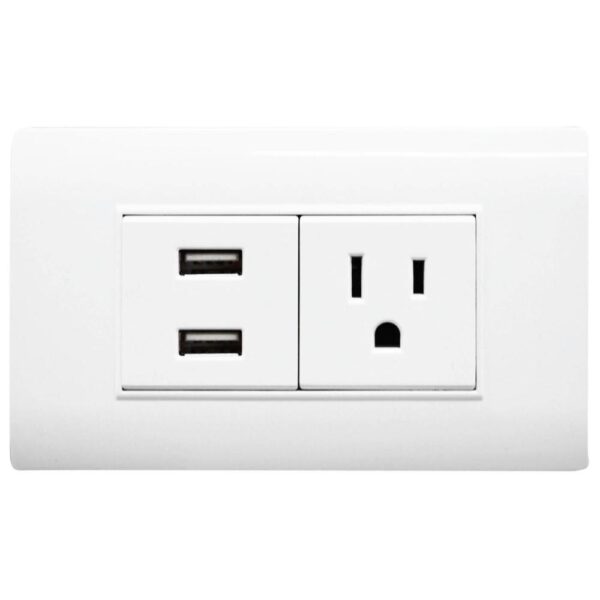 LINEA BK PLUS BLANCA INCRUSTAR TOMA SENCILLO + 2 USB (118K-36) (HT20686) Item: 1651B
