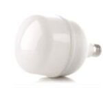 BOMBILLO LED 20W LUZ DIA E27 MULTIVOLTAJE (ZFR60)