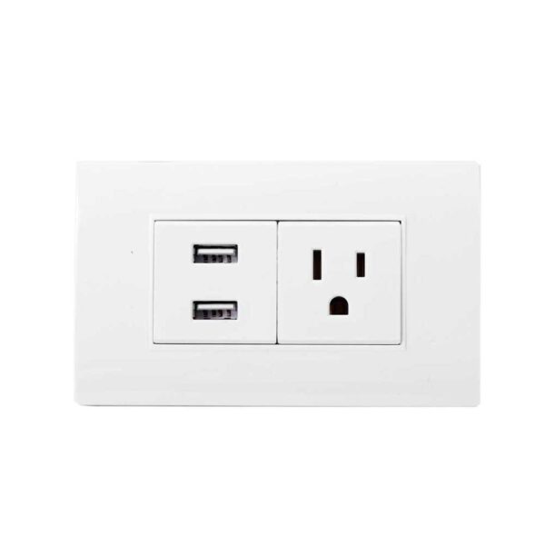 LINEA BK PLUS BLANCA INCRUSTAR TOMA SENCILLO + 2 USB (118K-36) (HT20686) REF: 1651BX