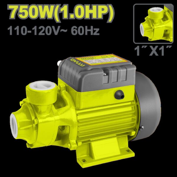 ELECTROBOMBA 1 HP 750W 110/120VDYLLU (UDTWPVA03)